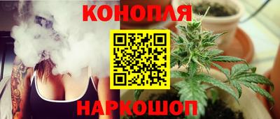 прущие крисы Шахты