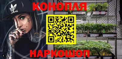 прущие крисы Шахты