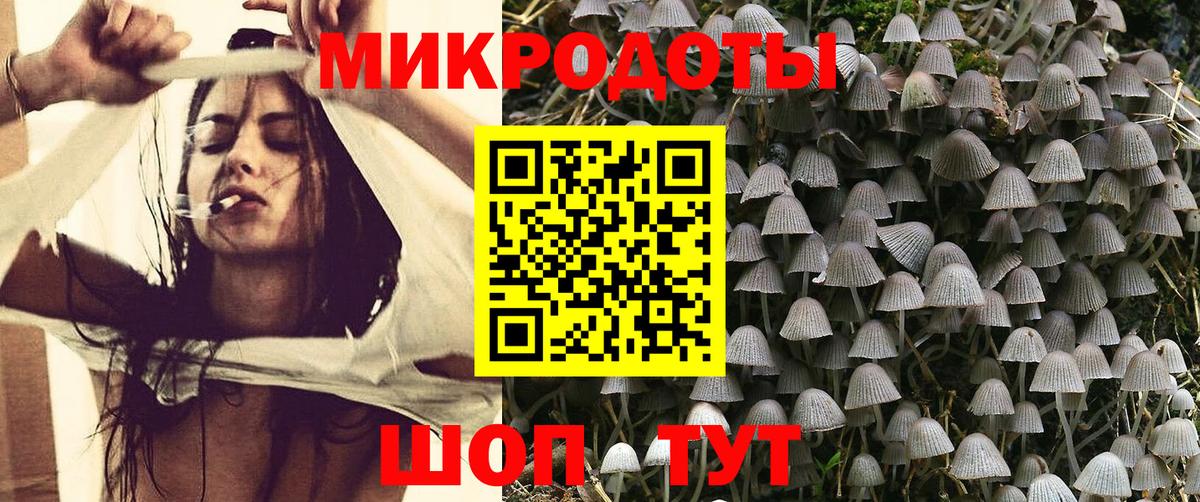 Псилоцибиновые грибы Psilocybine cubensis Соль-Илецк