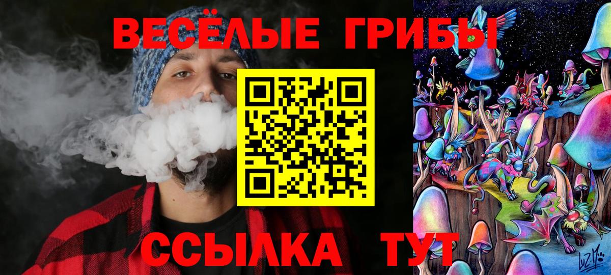 Псилоцибиновые грибы мухоморы  Вход с VPN  где найти наркотики  Соль-Илецк  Псилоцибиновые грибы мицелий 